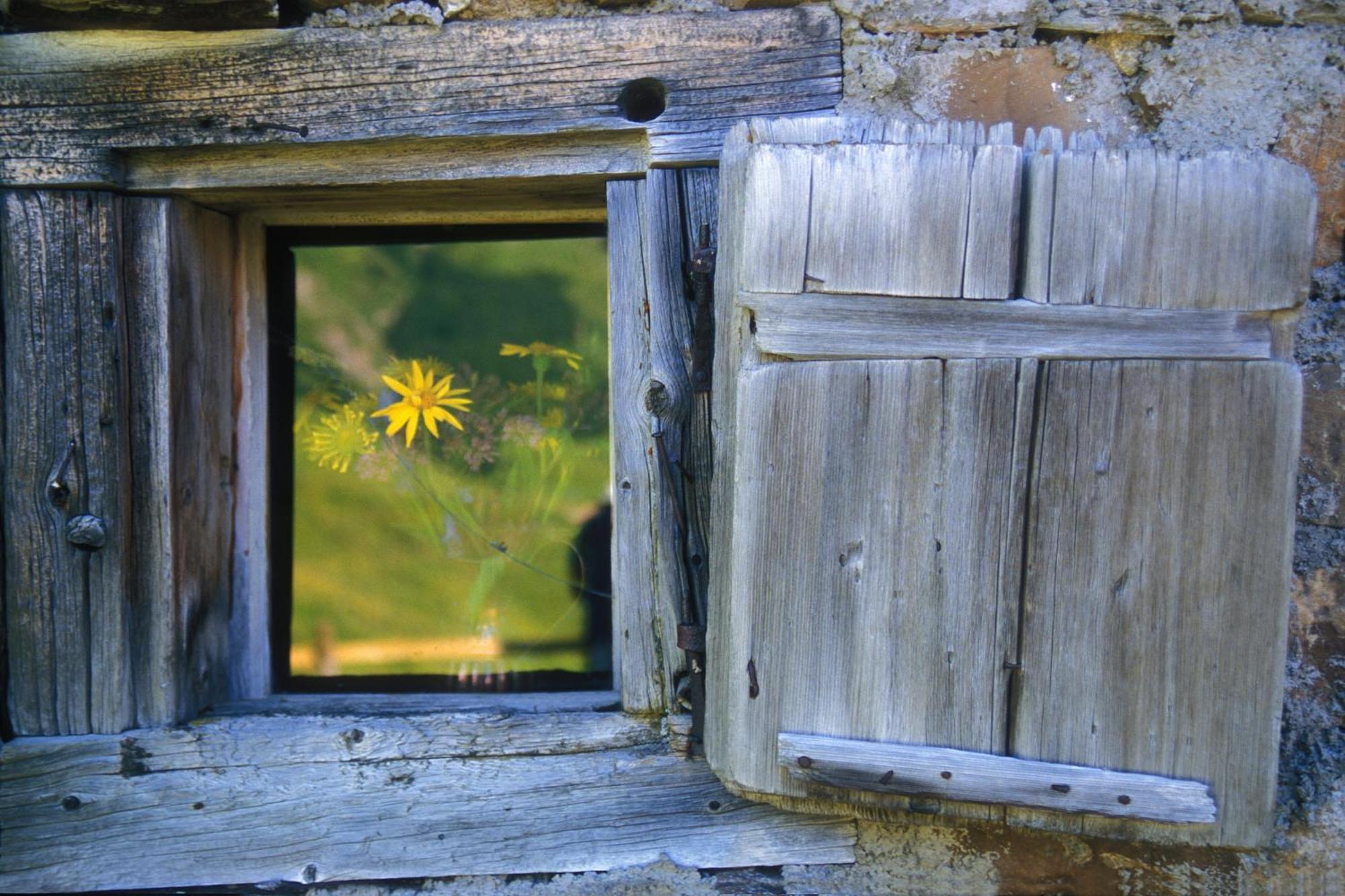 Haus Bergwelt - Appartements Lech am Arlberg Eksteriør billede